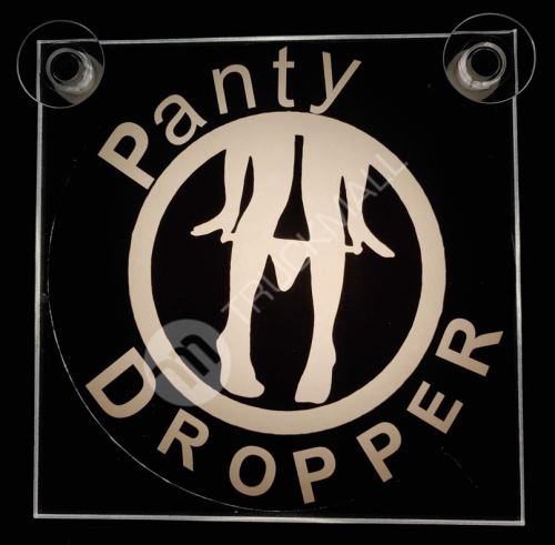 Světelný LED box – Panty Dropper 12/24V