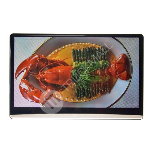 LCD monitor 13,3" OS Android/USB/SD/HDMI in/out s držákem na opěrku