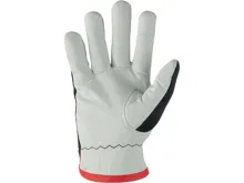 Rukavice CXS TECHNIK WINTER, zimní, kombinované (1)